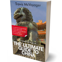 3D view of Premade Travel Book Cover - Armadillo