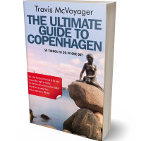 3D view of Premade Travel Book Cover - Mischka