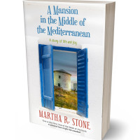 3D view of Premade Travel Book Cover - Calypso