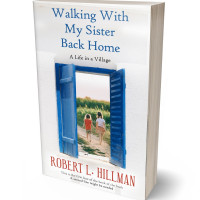 3D view of Premade Literary Fiction Book Cover - St Tropaz