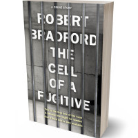 3D view of Premade Mystery & Thriller & Suspense Book Cover - Ironside Gray