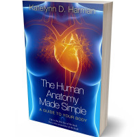 Tablet view of Astronaut #205 - Premade Medical Book Cover