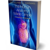 Tablet view of Torea Bay #206 - Premade Health & Mind & Body Book Cover