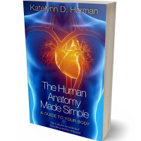 Tablet view of Astronaut #207 - Premade Health & Mind & Body Book Cover