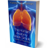 Tablet view of Jacksons Purple #208 - Premade Health & Mind & Body Book Cover