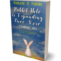 Tablet view of Bismark #300 - Premade Surreal Book Cover