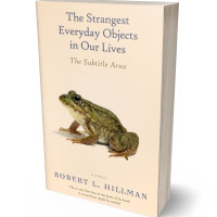 3D view of Premade Poetry Book Cover - Champagne