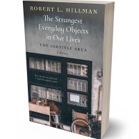 3D view of Premade Literary Fiction Book Cover - Cape Cod