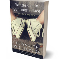 3D view of Premade Teen & Young Adult Book Cover - Gravel