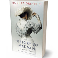 3D view of Premade Historical Book Cover - Celeste