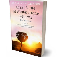 3D view of Premade Romance Book Cover - Clinker