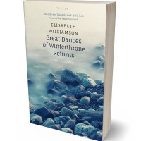 3D view of Premade Poetry Book Cover - Celeste