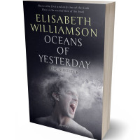 Tablet view of Nobel #594 - Premade Abstract Book Cover