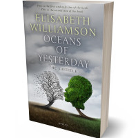 3D view of Premade Fantasy Book Cover - Gray Chateau