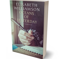 Tablet view of Matterhorn #598 - Premade Literary Fiction Book Cover