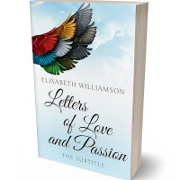 3D view of Premade Poetry Book Cover - Iceberg