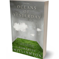 Tablet view of Limed Ash #620 - Premade Abstract Book Cover