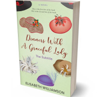 3D view of Kidnapper #0644 - Premade Abstract Book Cover | BookCoverZone