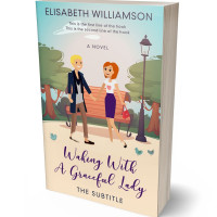 3D view of Premade Chick Lit Book Cover - Satin Linen