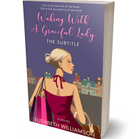 3D view of Premade Literary Fiction Book Cover - Mulled Wine