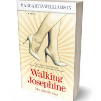 3D view of Premade Romance Book Cover - Champagne