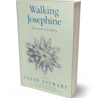 Tablet view of Clay Ash #678 - Premade Poetry Book Cover