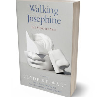 Tablet view of Celeste #679 - Premade Self-Improvement & Self-Help Book Cover