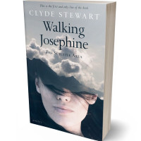 Tablet view of Pale Slate #686 - Premade Abstract Book Cover