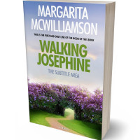 Tablet view of Gray Suit #714 - Premade Fantasy Book Cover