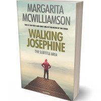 3D view of Premade Teen & Young Adult Book Cover - Tana