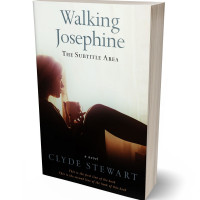 Tablet view of Night Rider #719 - Premade Teen & Young Adult Book Cover