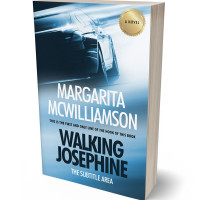 3D view of Premade Action & Adventure Book Cover - Half Baked