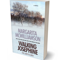 Tablet view of Mystic #731 - Premade Literary Fiction Book Cover