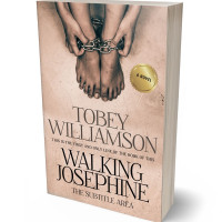 Tablet view of Rose Fog #733 - Premade Action & Adventure Book Cover