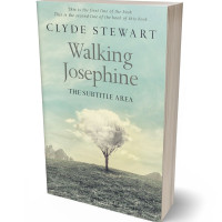 3D view of Premade Abstract Book Cover - Pale Leaf