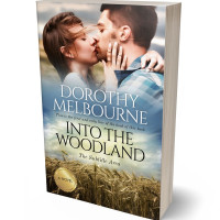 3D view of Premade Romance Book Cover - Soft Amber