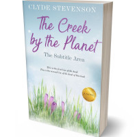 3D view of Premade Abstract Book Cover - Geyser