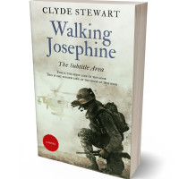 3D view of Moon Mist #876 - Premade Historical Book Cover