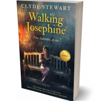 3D view of Premade Romance Book Cover - Outer Space