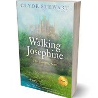 Tablet view of Envy #891 - Premade Fantasy Book Cover