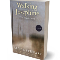 3D view of Premade Surreal Book Cover - Schooner