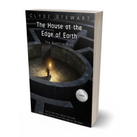 3D view of Premade Abstract Book Cover - Woodsmoke