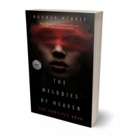 3D view of Premade Mystery & Thriller & Suspense Book Cover - Night Rider