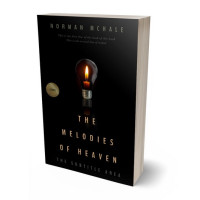 3D view of Premade Mystery & Thriller & Suspense Book Cover - Black