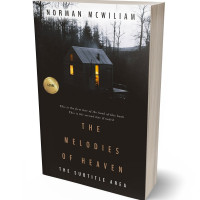 3D view of Premade Mystery & Thriller & Suspense Book Cover - Cocoa Brown