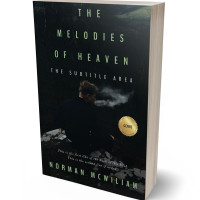 3D view of Premade Mystery & Thriller & Suspense Book Cover - Woodsmoke