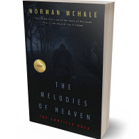 3D view of Premade Mystery & Thriller & Suspense Book Cover - Woodsmoke