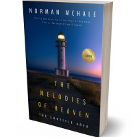 3D view of Premade Mystery & Thriller & Suspense Book Cover - Mirage