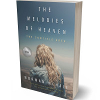 3D view of Premade Literary Fiction Book Cover - River Bed