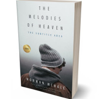 3D view of Premade Literary Fiction Book Cover - Mine Shaft